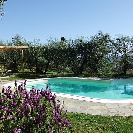 Agriturismo Il Castagnolino Сан-Джиміньяно Екстер'єр фото