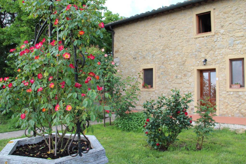 Agriturismo Il Castagnolino Сан-Джиміньяно Номер фото